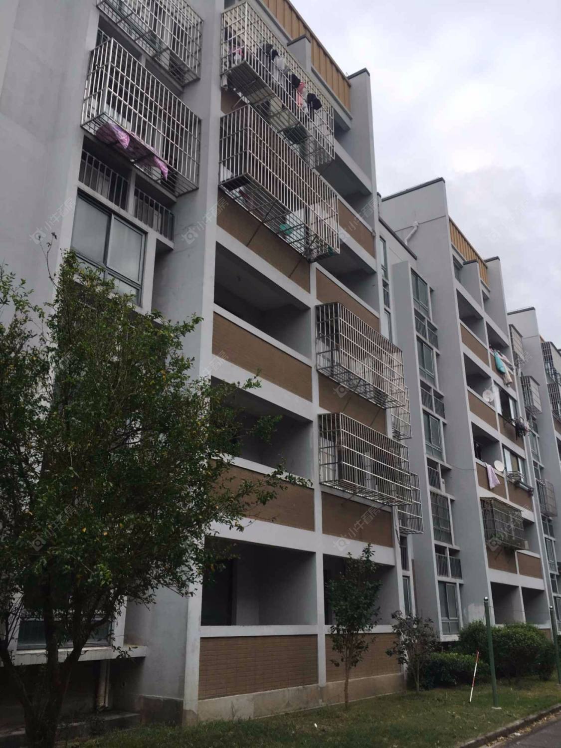 上海丽泽菊清苑小区_丽泽菊清苑小区实景图