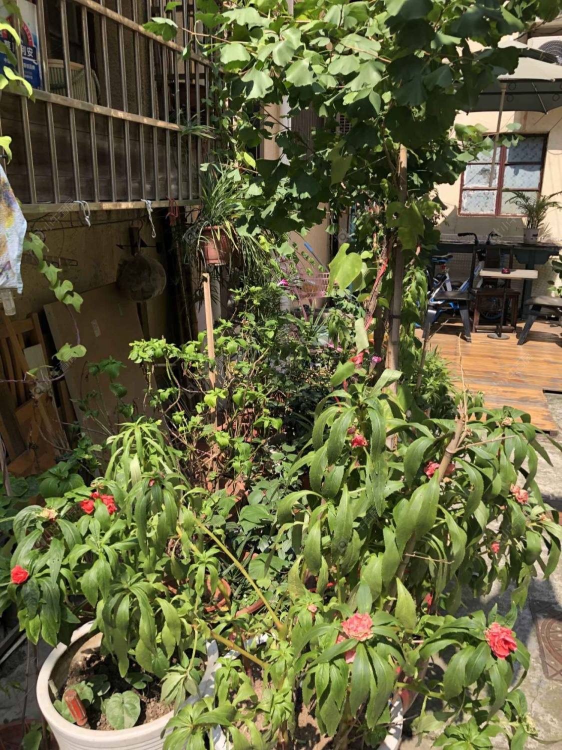 上海永嘉路56弄小区_永嘉路56弄小区null