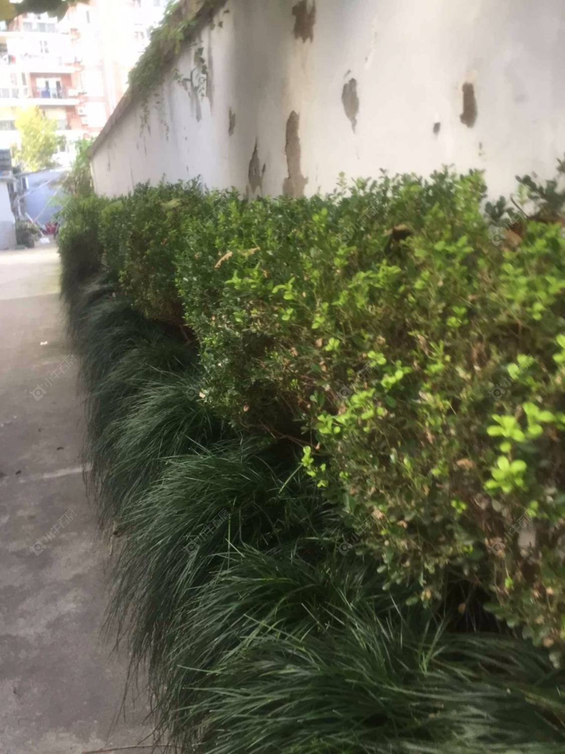 上海静安长兴小区小区_静安长兴小区小区null