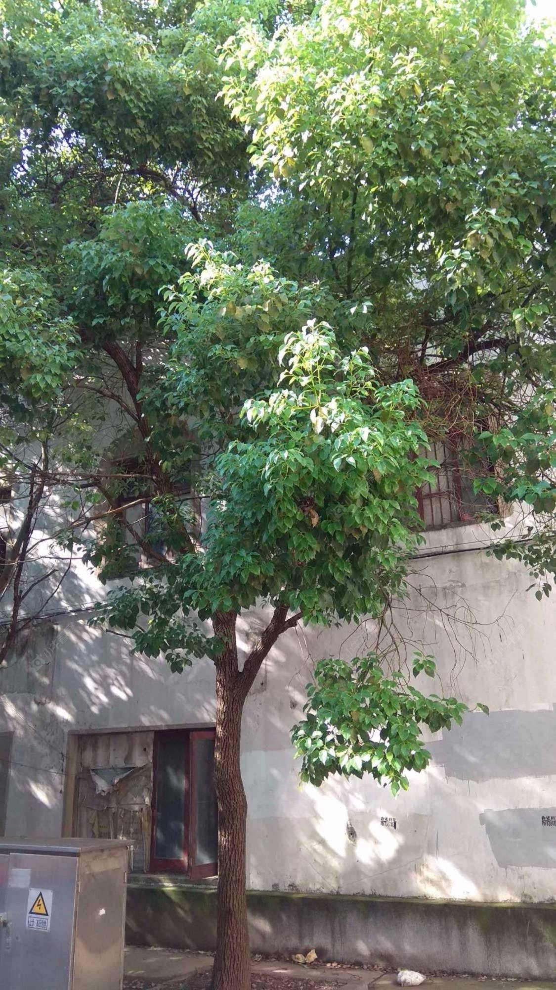 上海观海小区小区_观海小区小区null