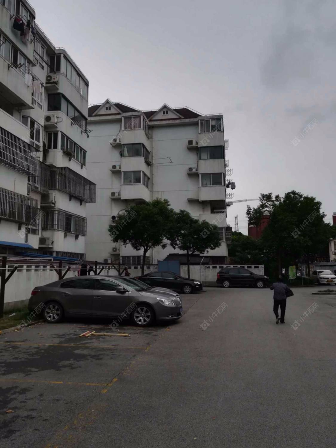 上海杨园四村北区小区_杨园四村北区小区null