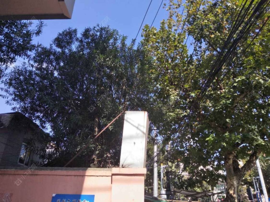 上海天通庵路491弄小区_天通庵路491弄小区null