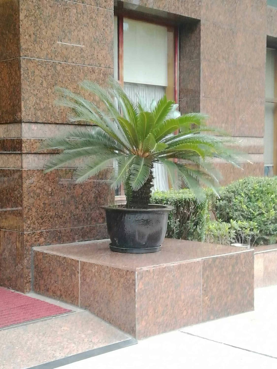 上海瑞苑公寓小区_小牛看房