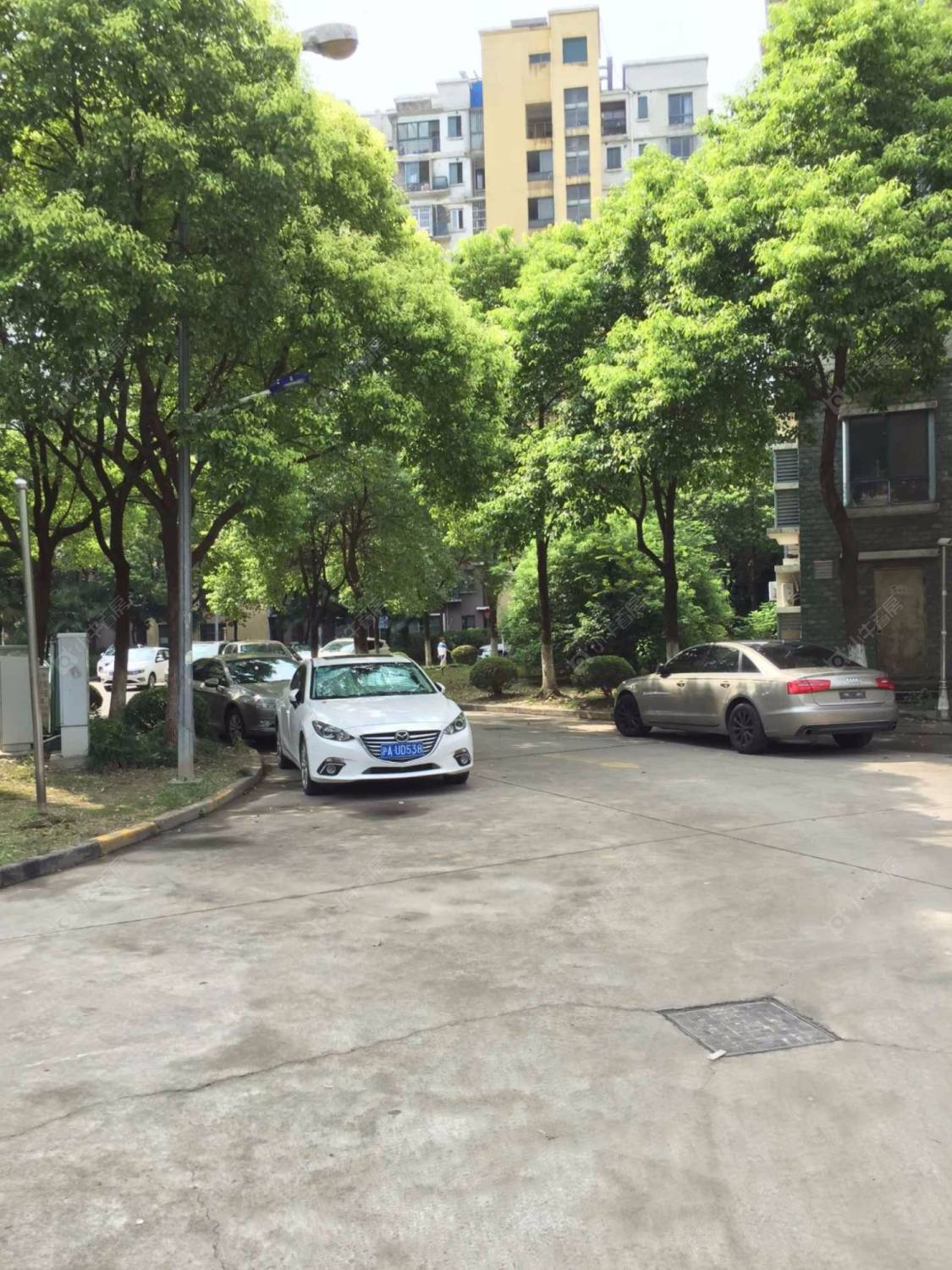 上海永泰花苑小区_永泰花苑小区null