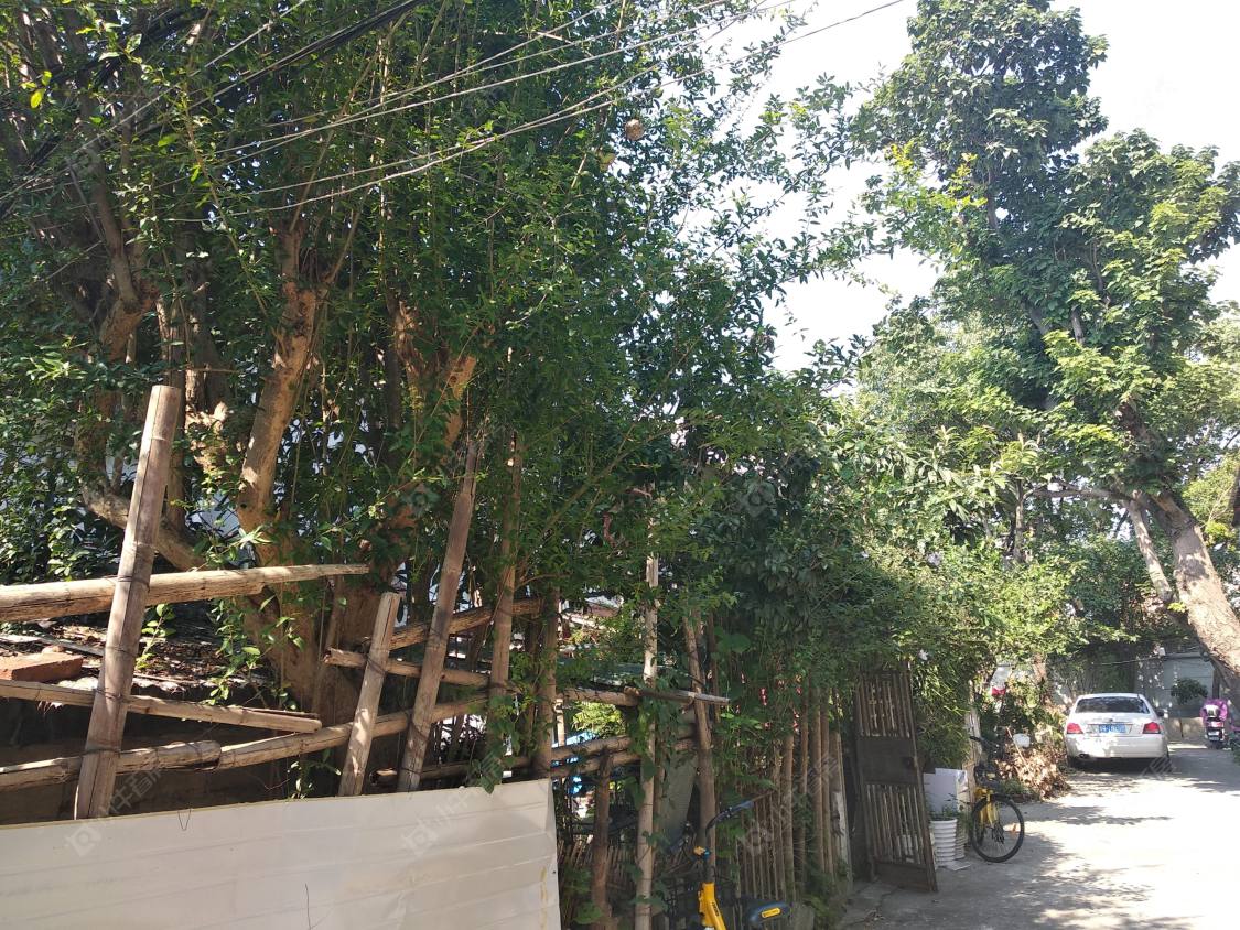 上海隆昌路542弄小区_隆昌路542弄小区null