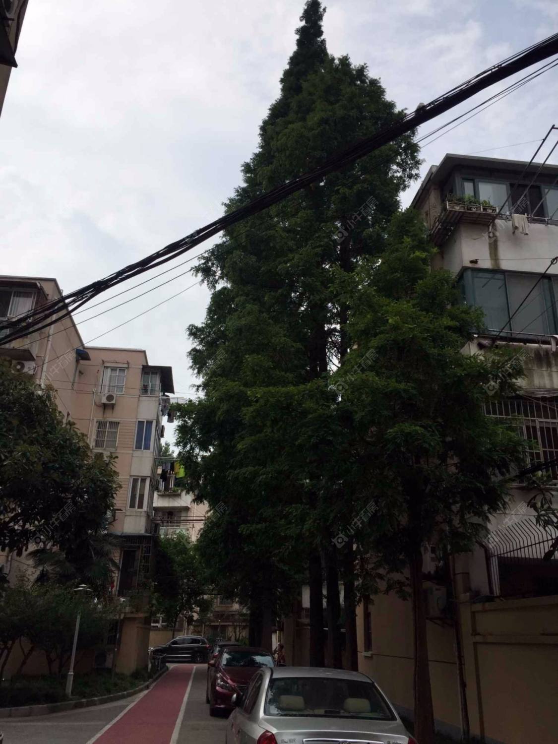 上海宝钢三村小区_宝钢三村小区null