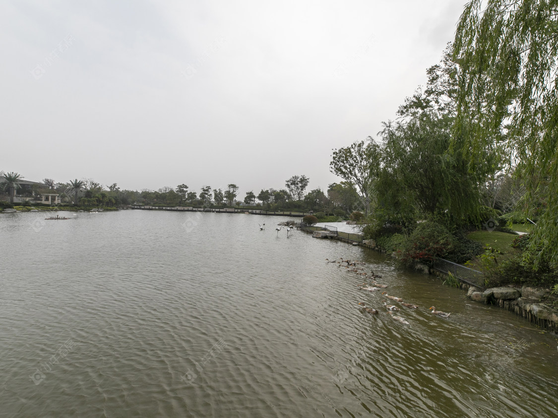 上海东滩海上明月别墅区小区_东滩海上明月别墅区小区null