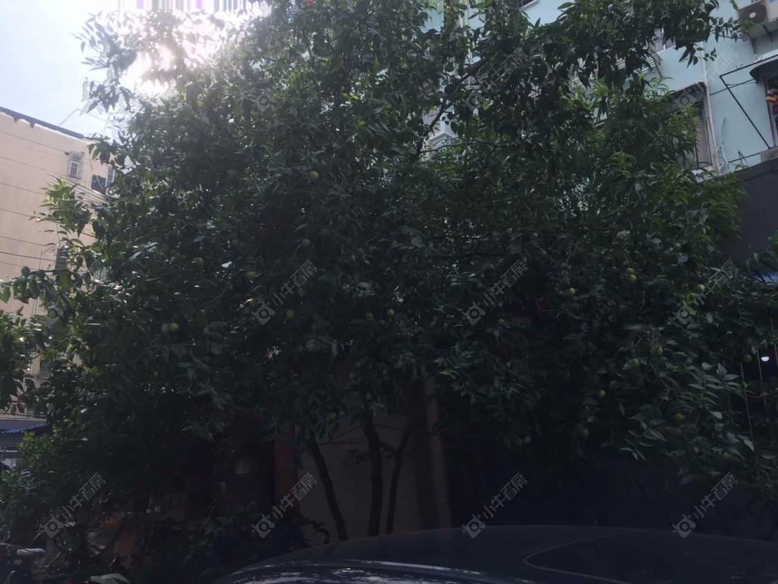 上海宝昌路620弄小区_小牛看房