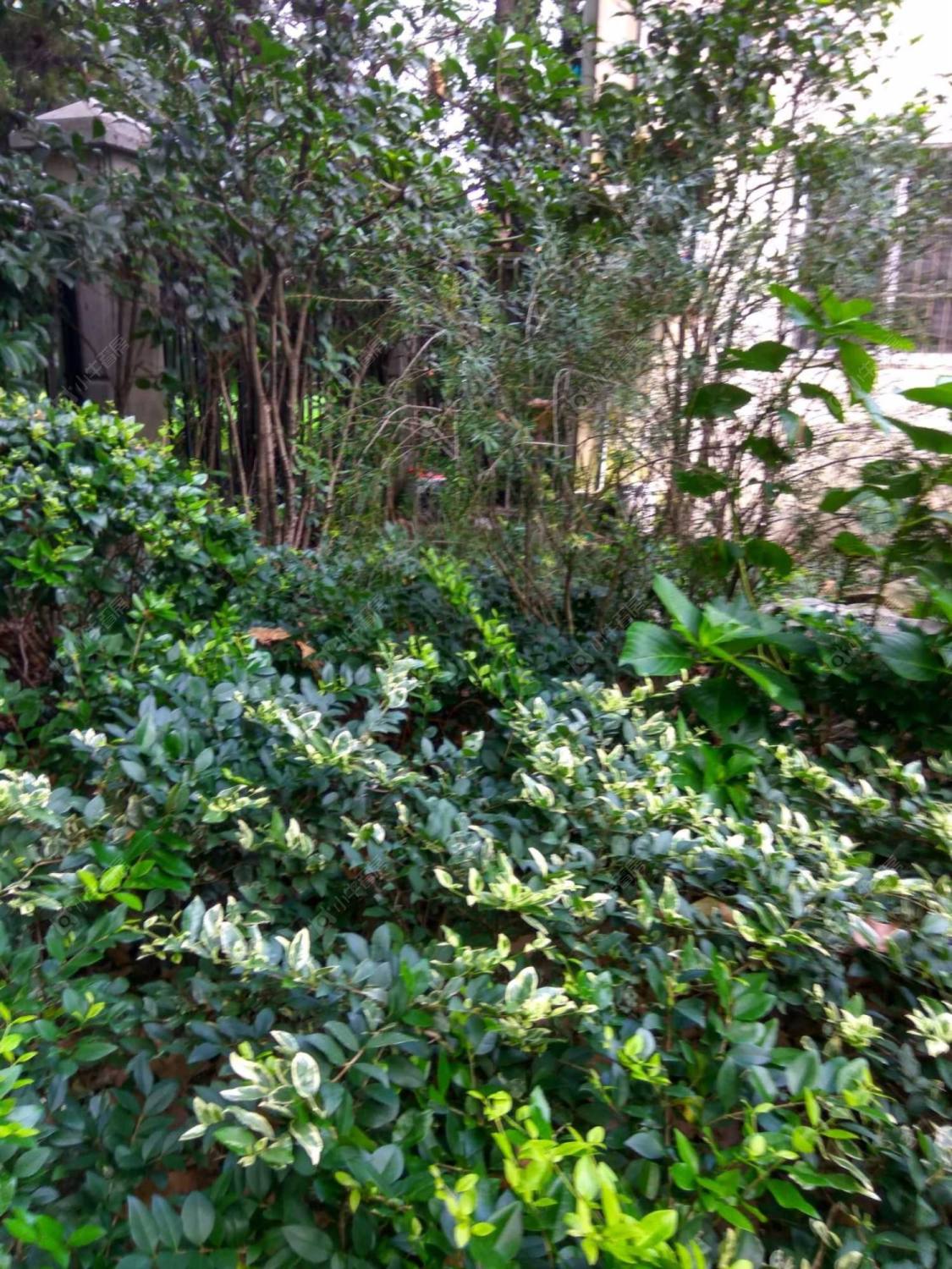 上海复兴西路49弄小区_小牛看房