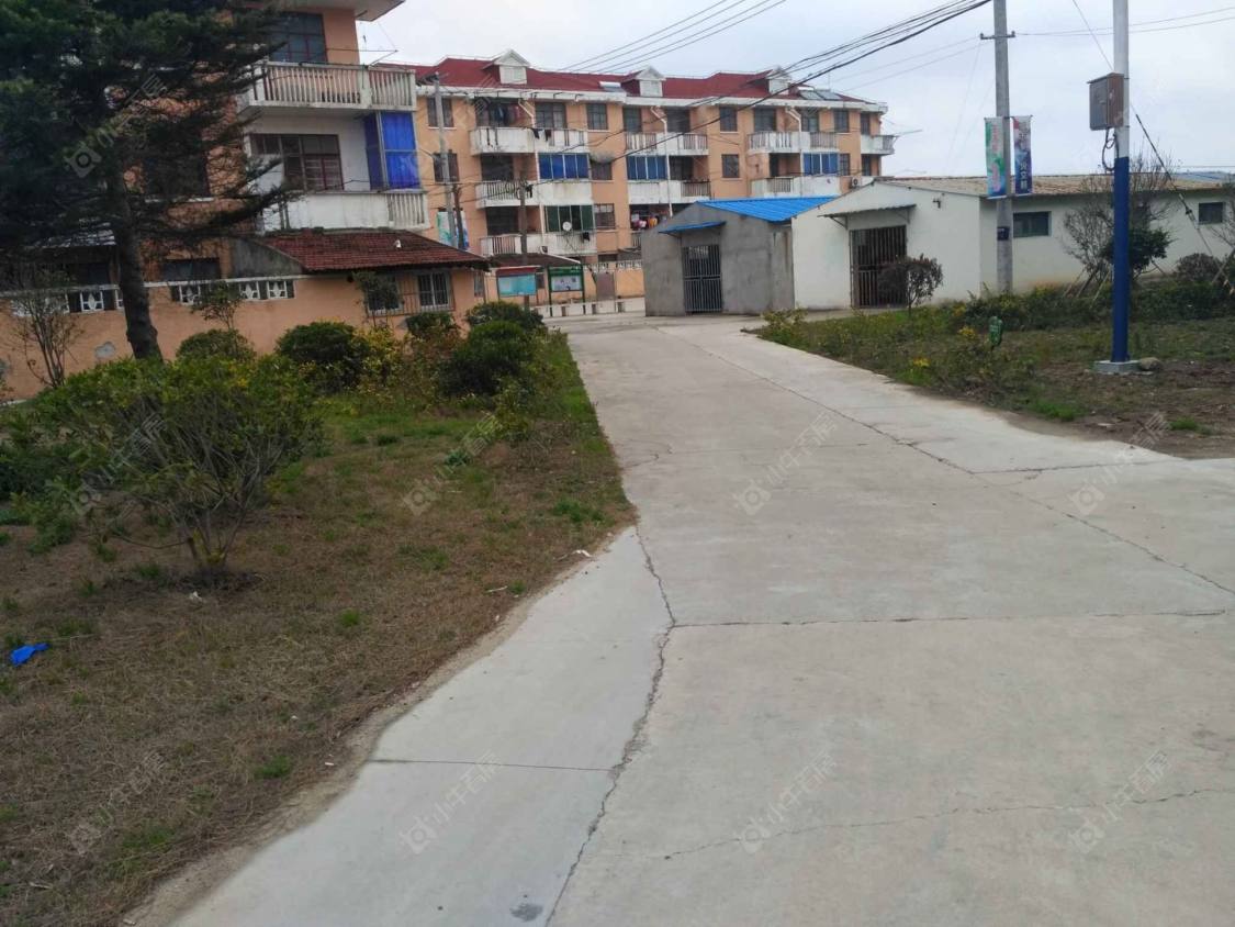 上海毛纺新村小区_毛纺新村小区null