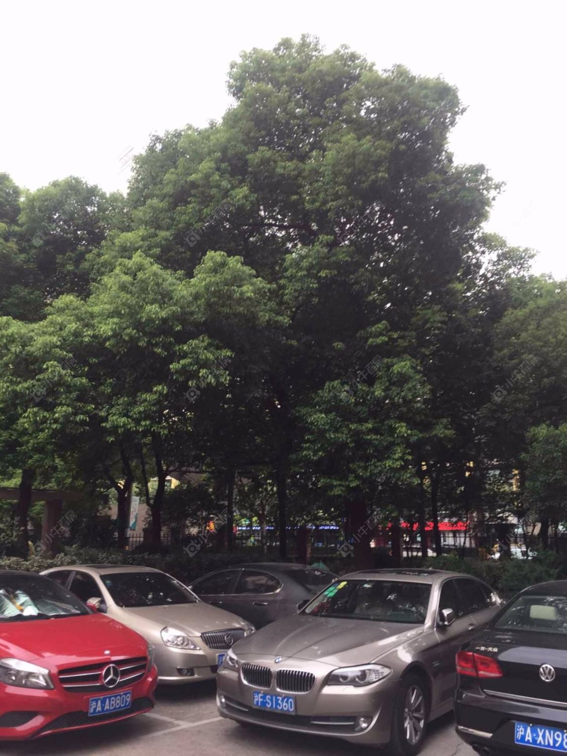 上海永兴小马路小区_永兴小马路小区实景图