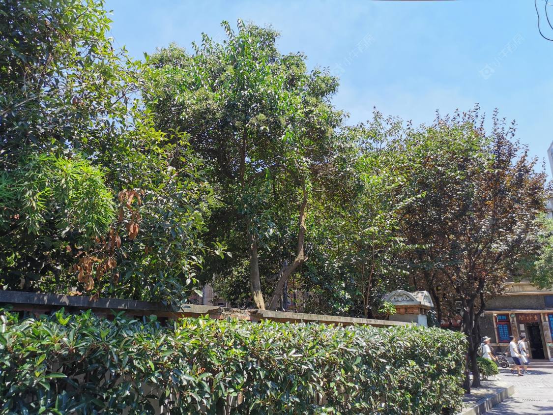 上海多伦路135弄小区_多伦路135弄小区null