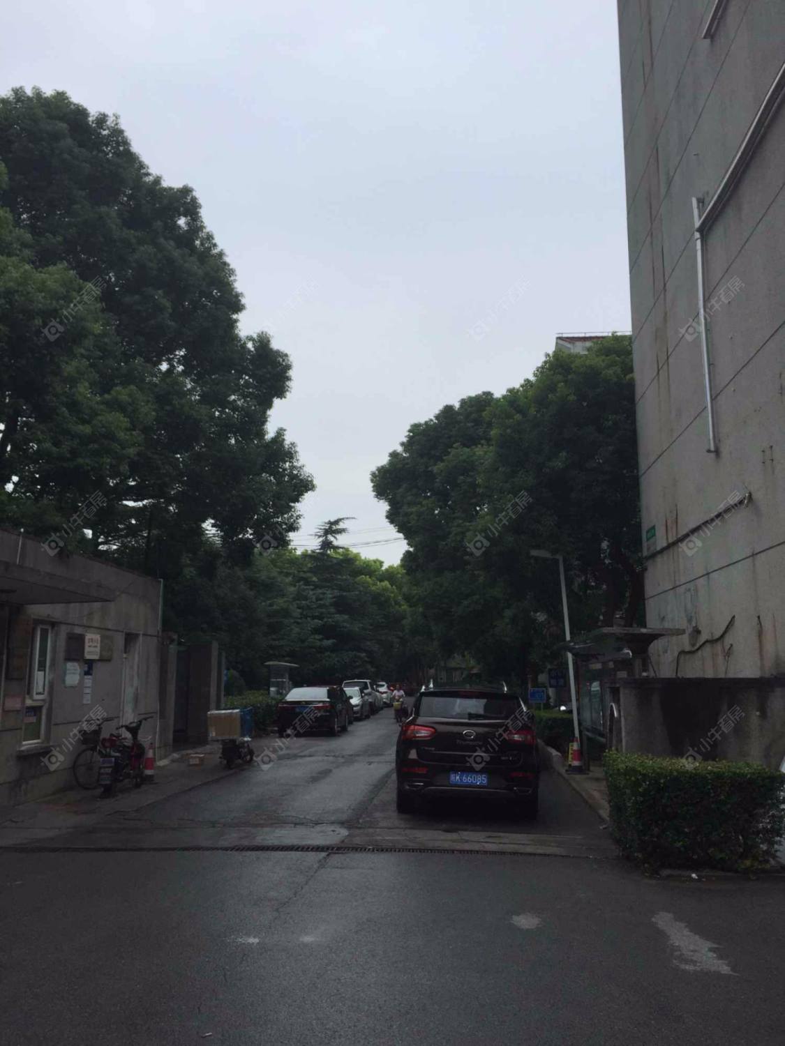 上海听潮五村小区_听潮五村小区null