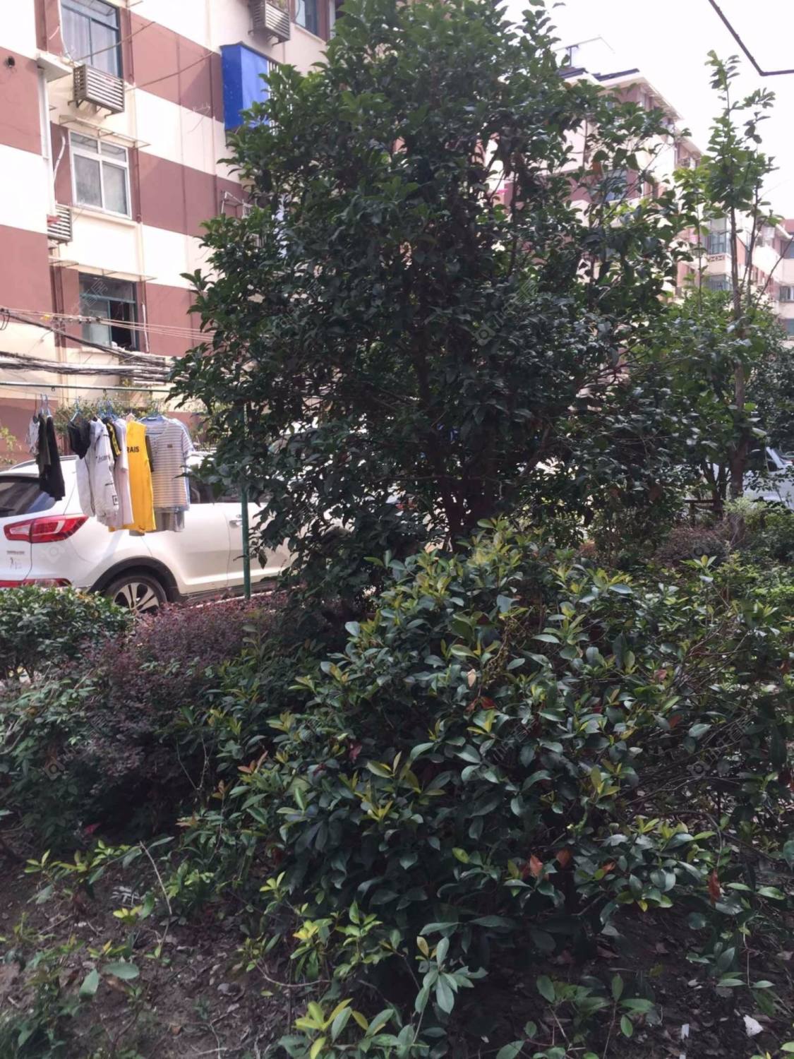 上海芷江中路495弄小区_芷江中路495弄小区null