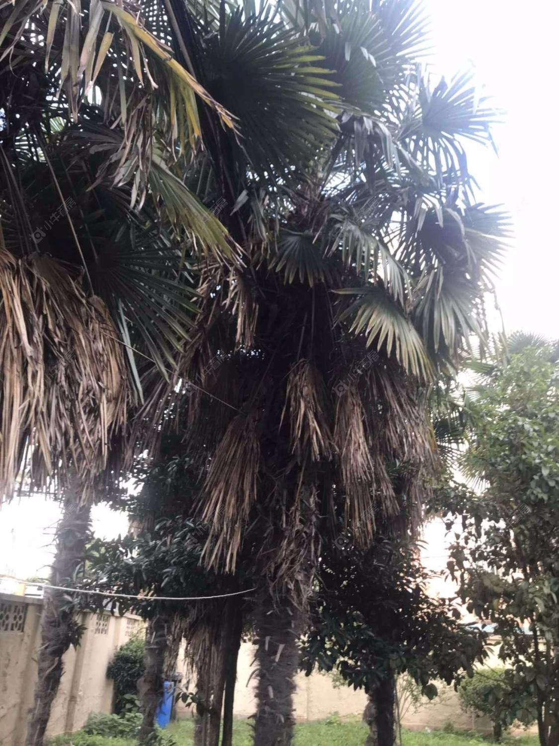 上海浦三路759弄小区_浦三路759弄小区null