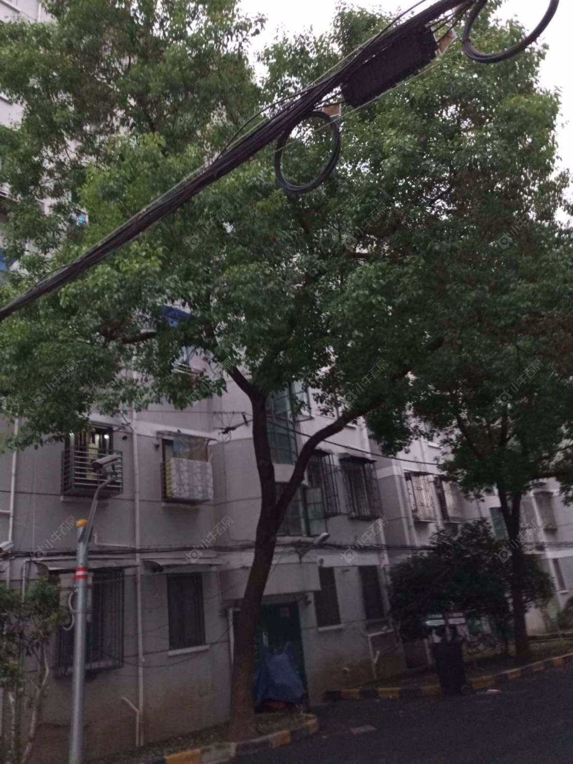 上海绿园十一村小区_绿园十一村小区null