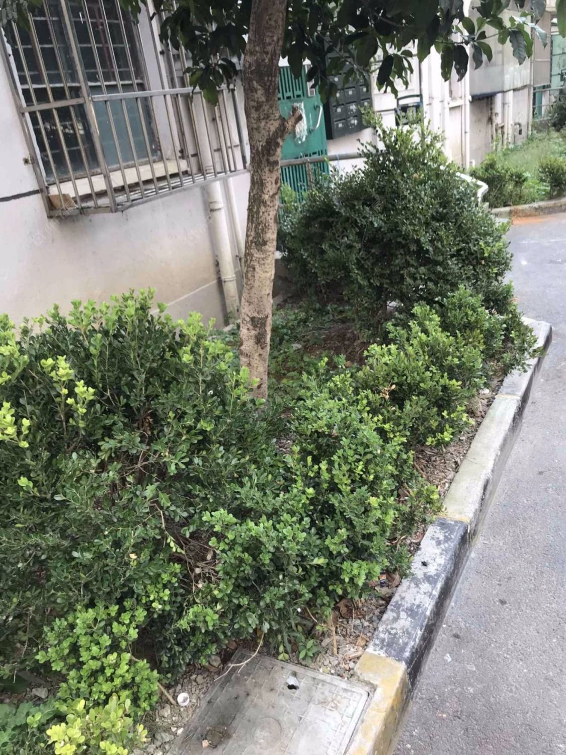 上海沂南路54弄小区_沂南路54弄小区null