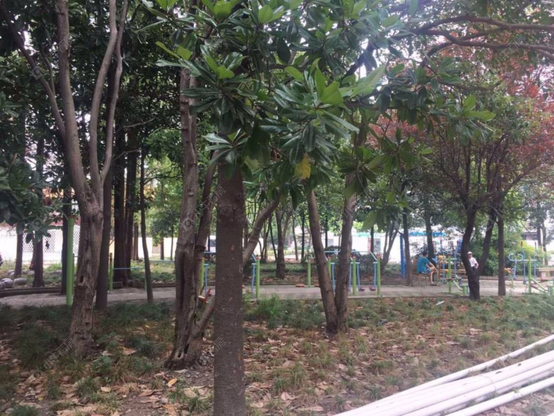 上海阳曲路555弄小区_阳曲路555弄小区null