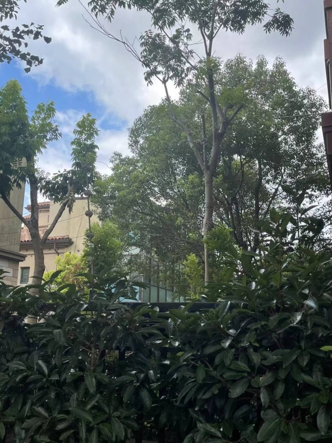 上海布鲁斯小镇一期别墅区小区_布鲁斯小镇一期别墅区小区null