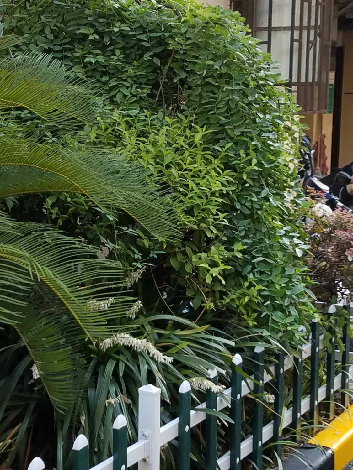 上海云华小区小区_云华小区小区实景图