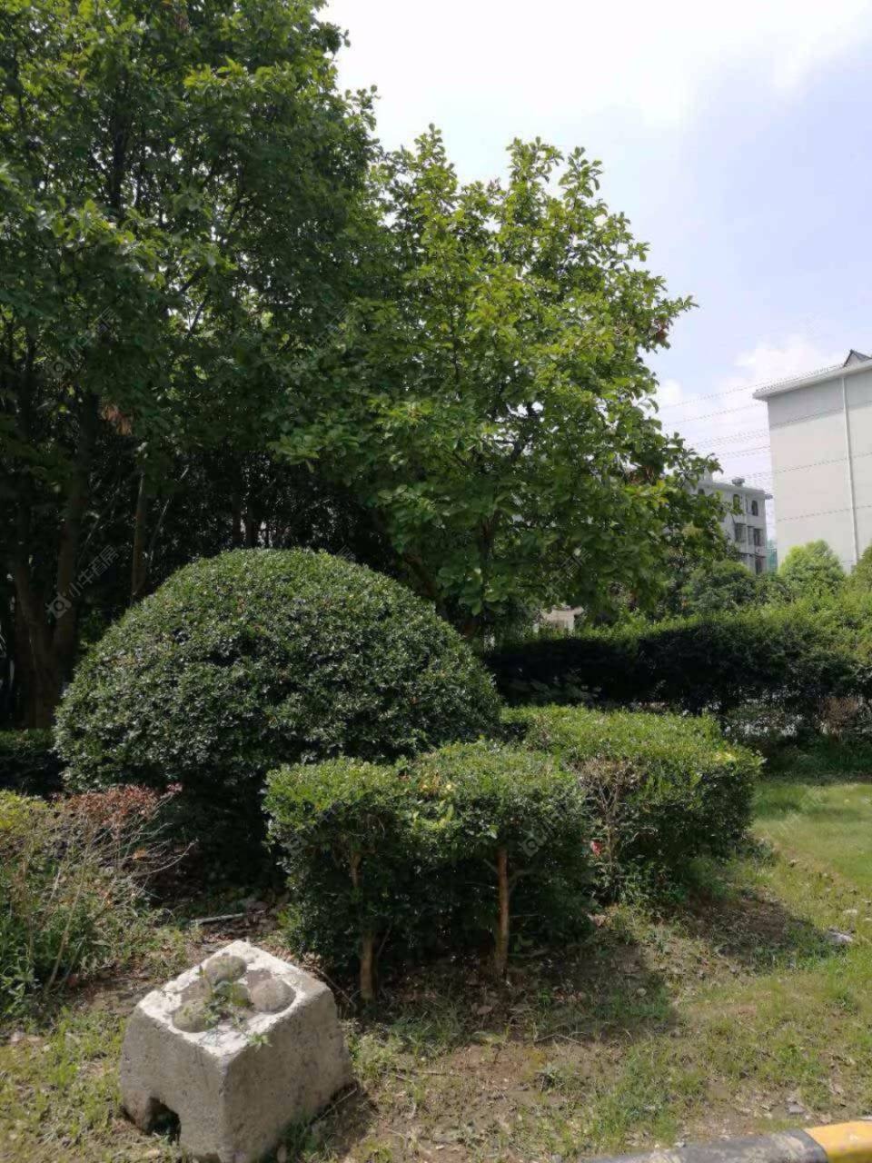 上海幸福第一公寓小区_幸福第一公寓小区null