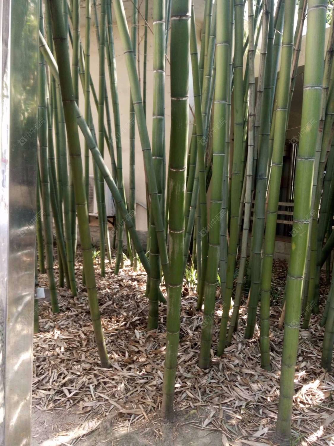 上海新北小区小区_新北小区小区null