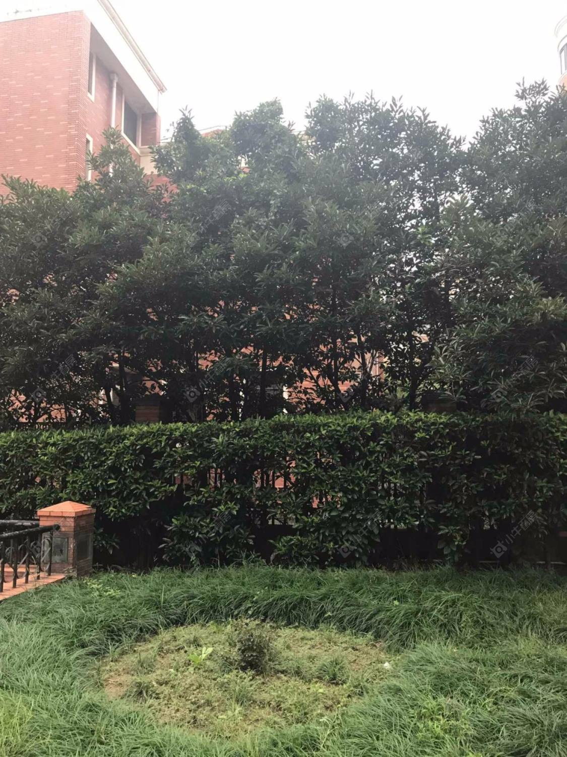 上海虹景花苑小区_虹景花苑小区null