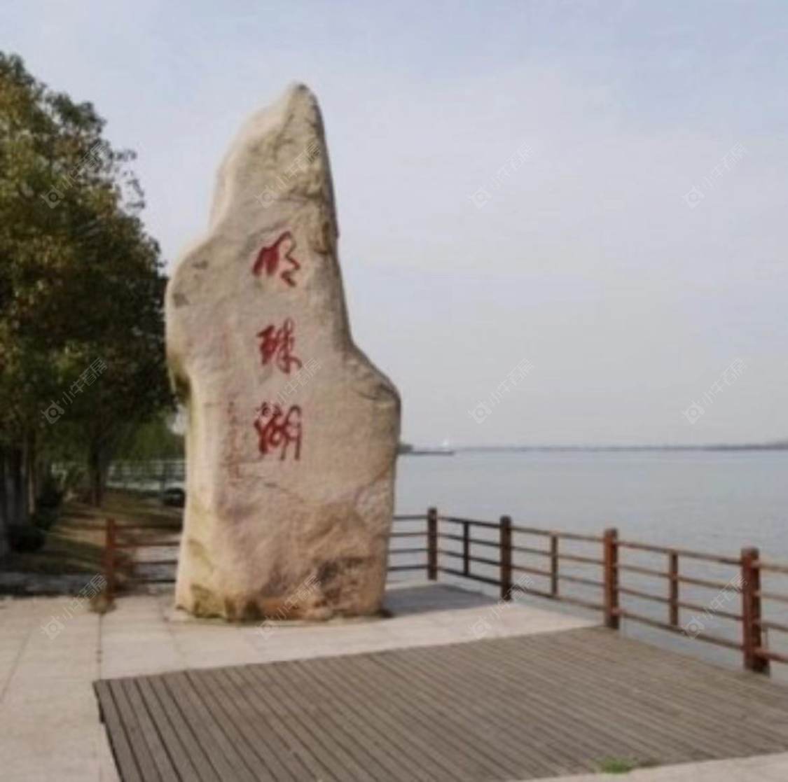 上海路劲象屿岛上的院子小区_路劲象屿岛上的院子小区null