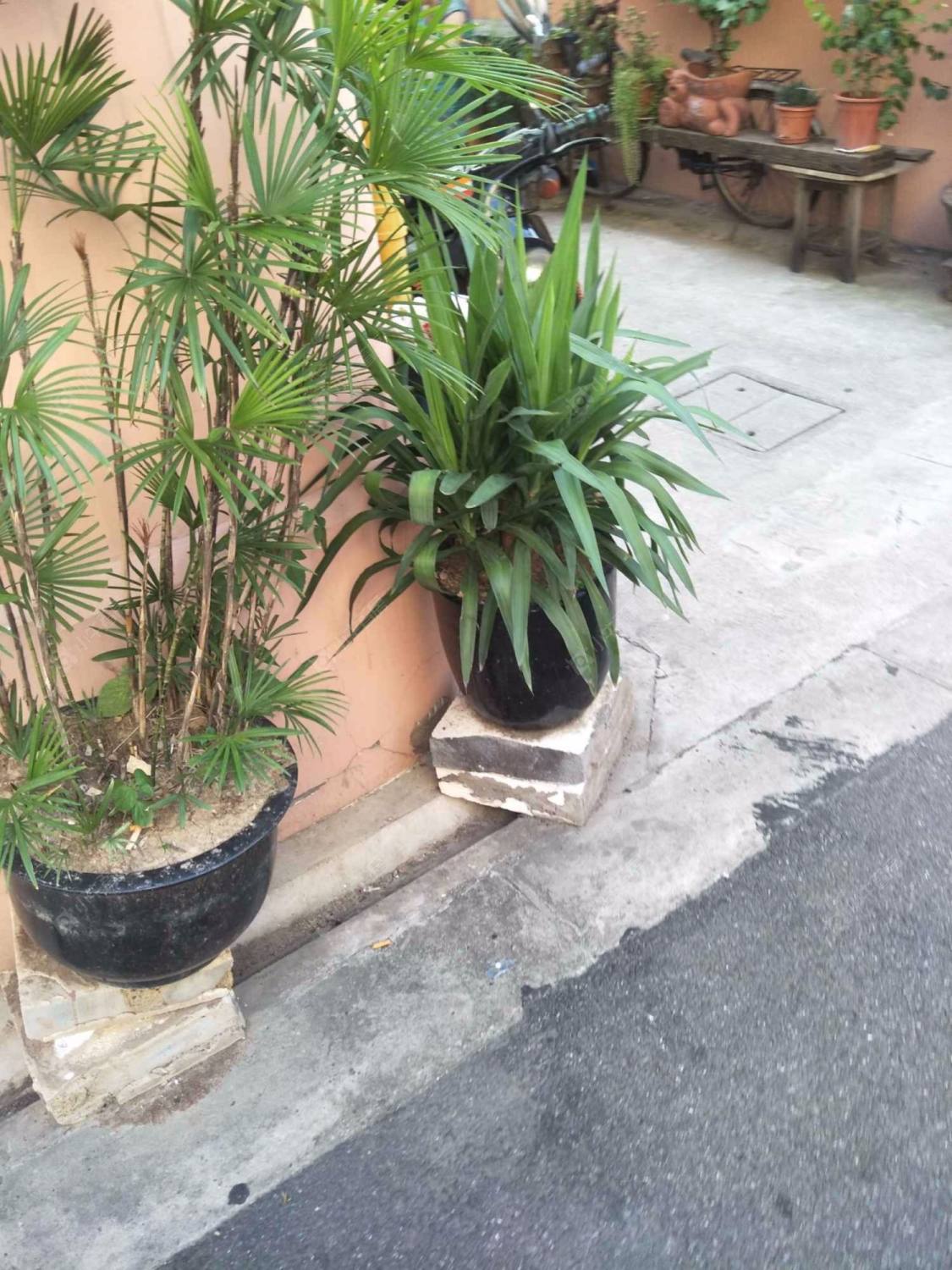 上海安乐坊（静安）小区_安乐坊（静安）小区null