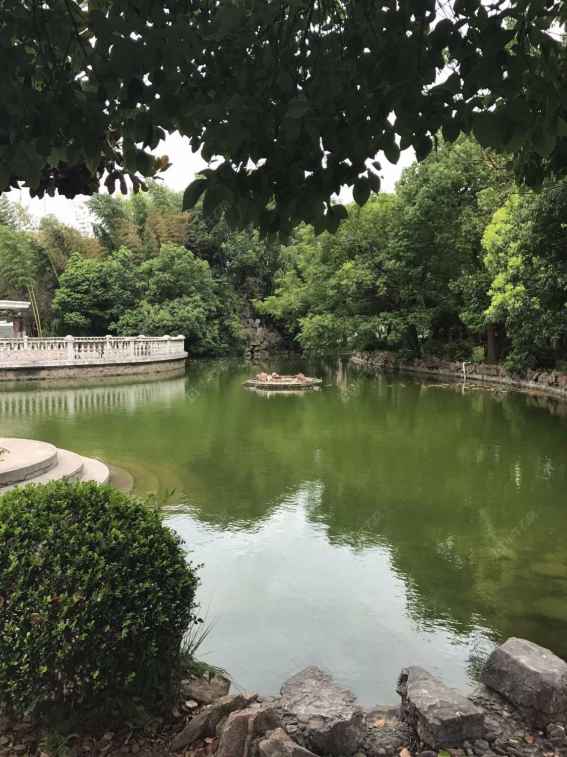 上海富都园小区_富都园小区null