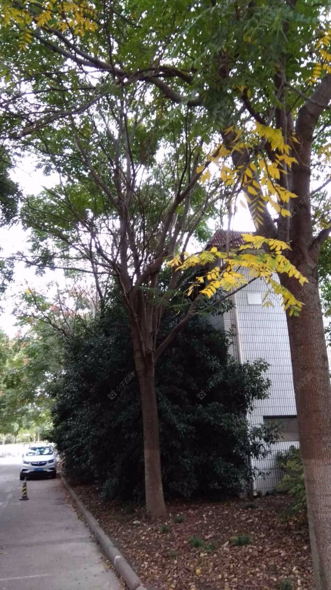 上海东城花苑二村一区小区_东城花苑二村一区小区null