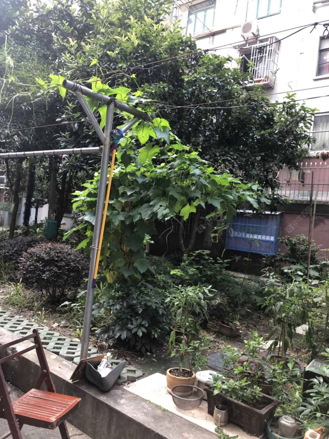 上海肇嘉浜路107弄小区_肇嘉浜路107弄小区null