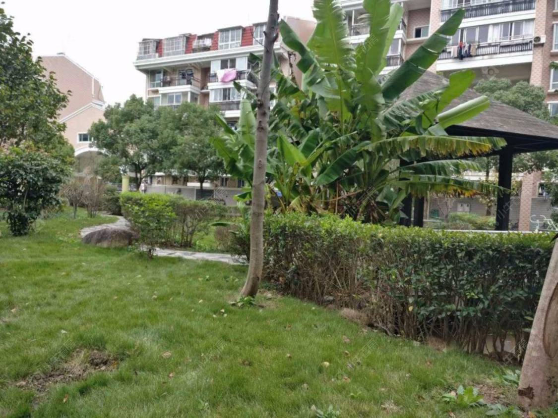 上海东城华都小区_东城华都小区null