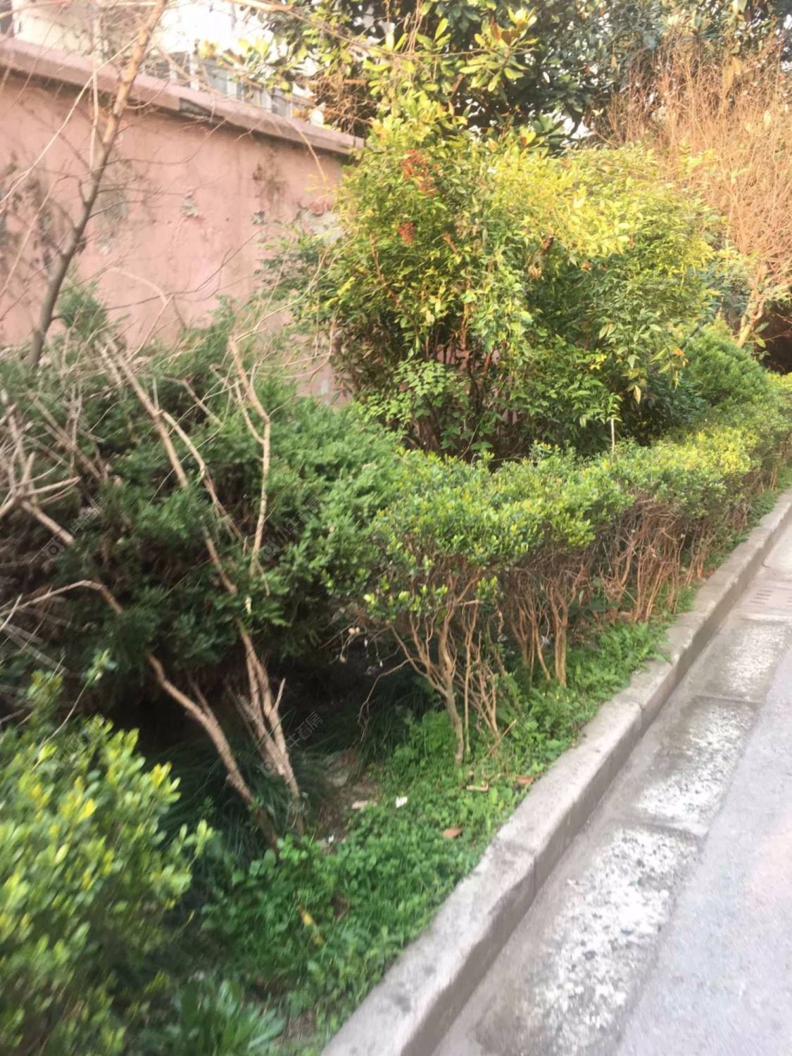 上海海星公寓小区_海星公寓小区null