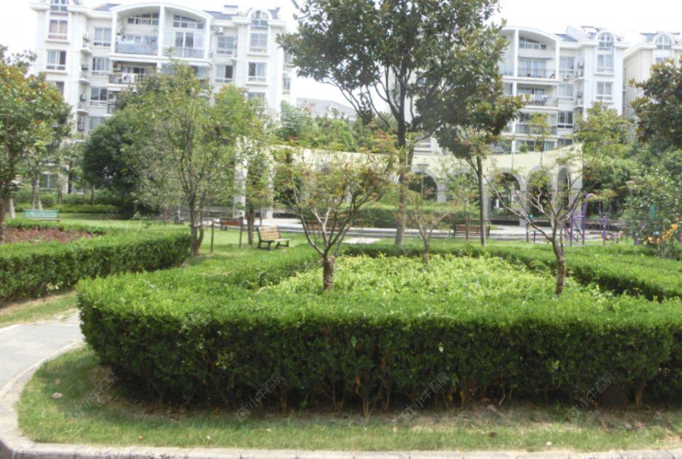 上海东兰兴城玉兰苑小区_东兰兴城玉兰苑小区null