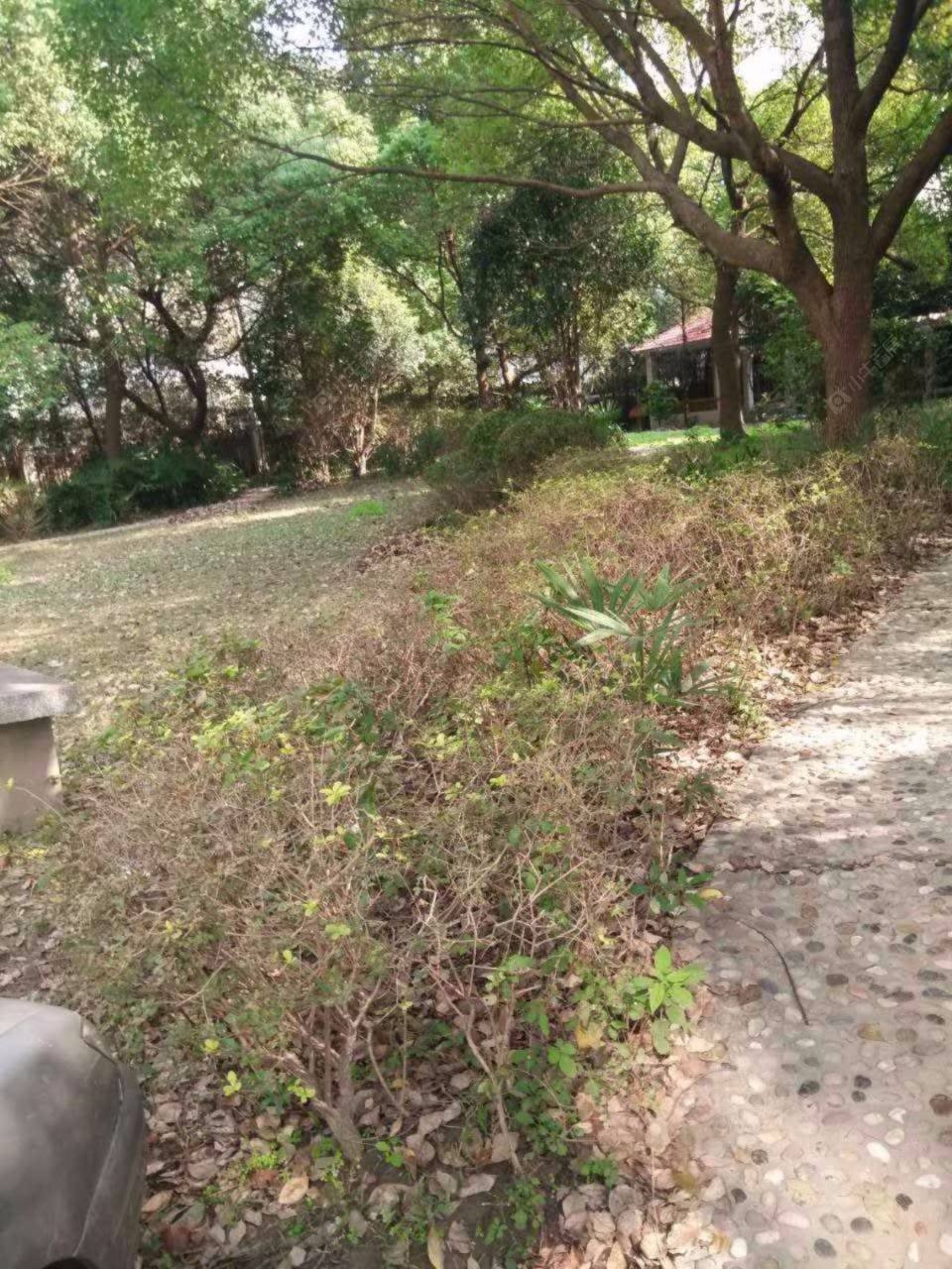 上海泰鸿苑小区_泰鸿苑小区null