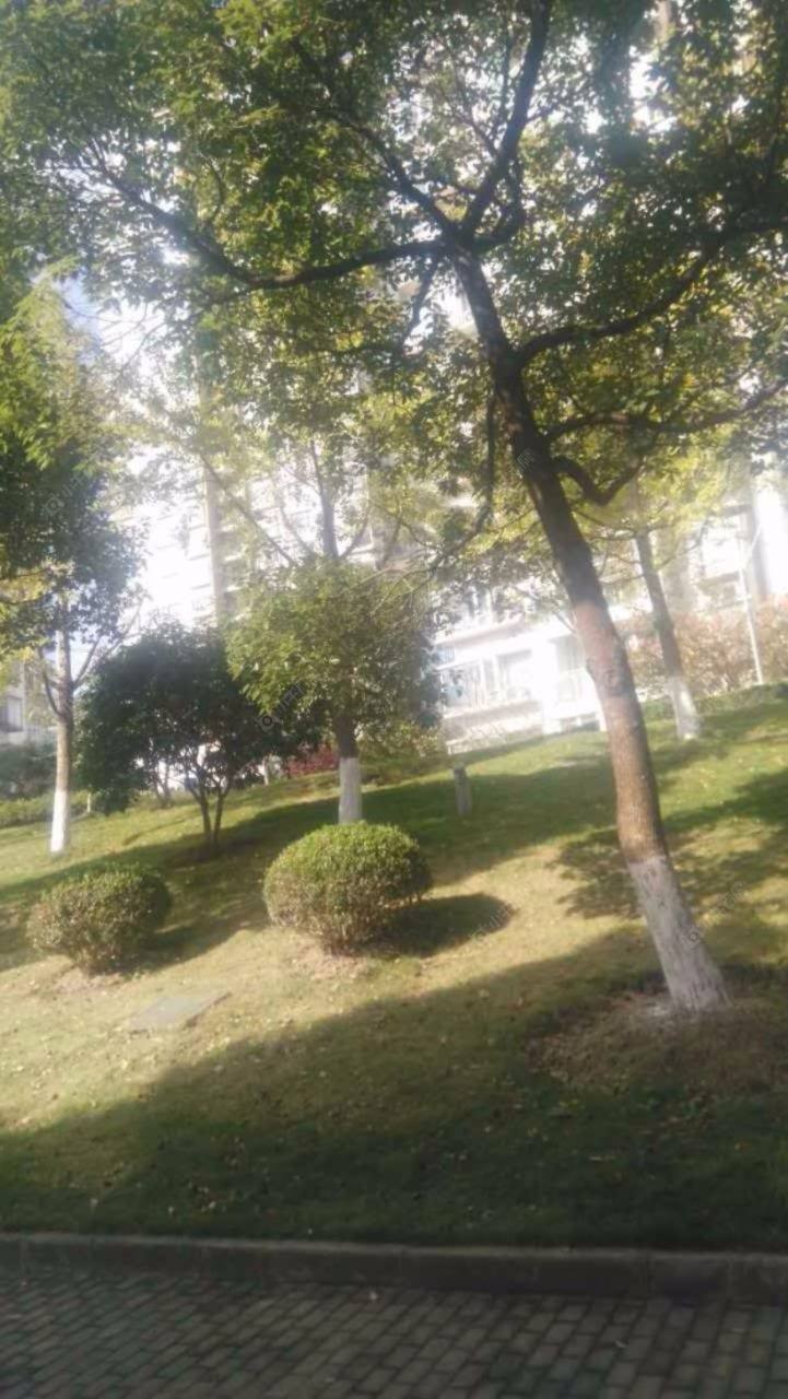 上海安信湖畔天地坊小区_安信湖畔天地坊小区null