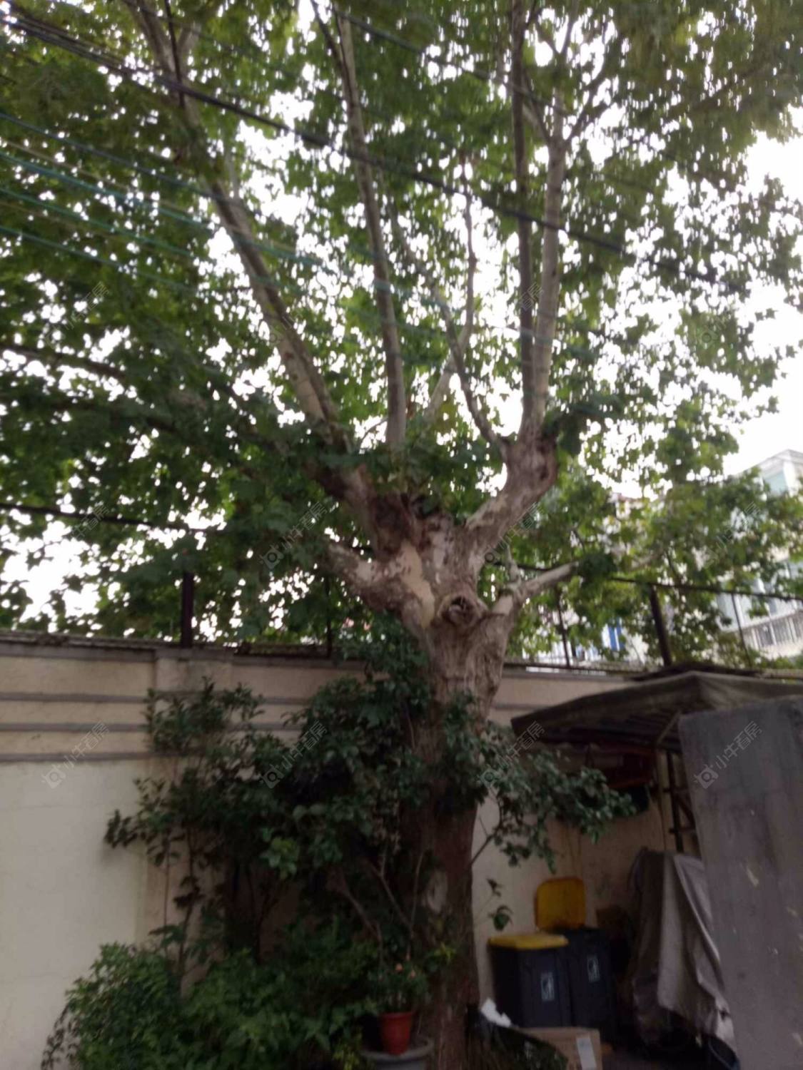 上海正蕃小筑小区_小牛看房