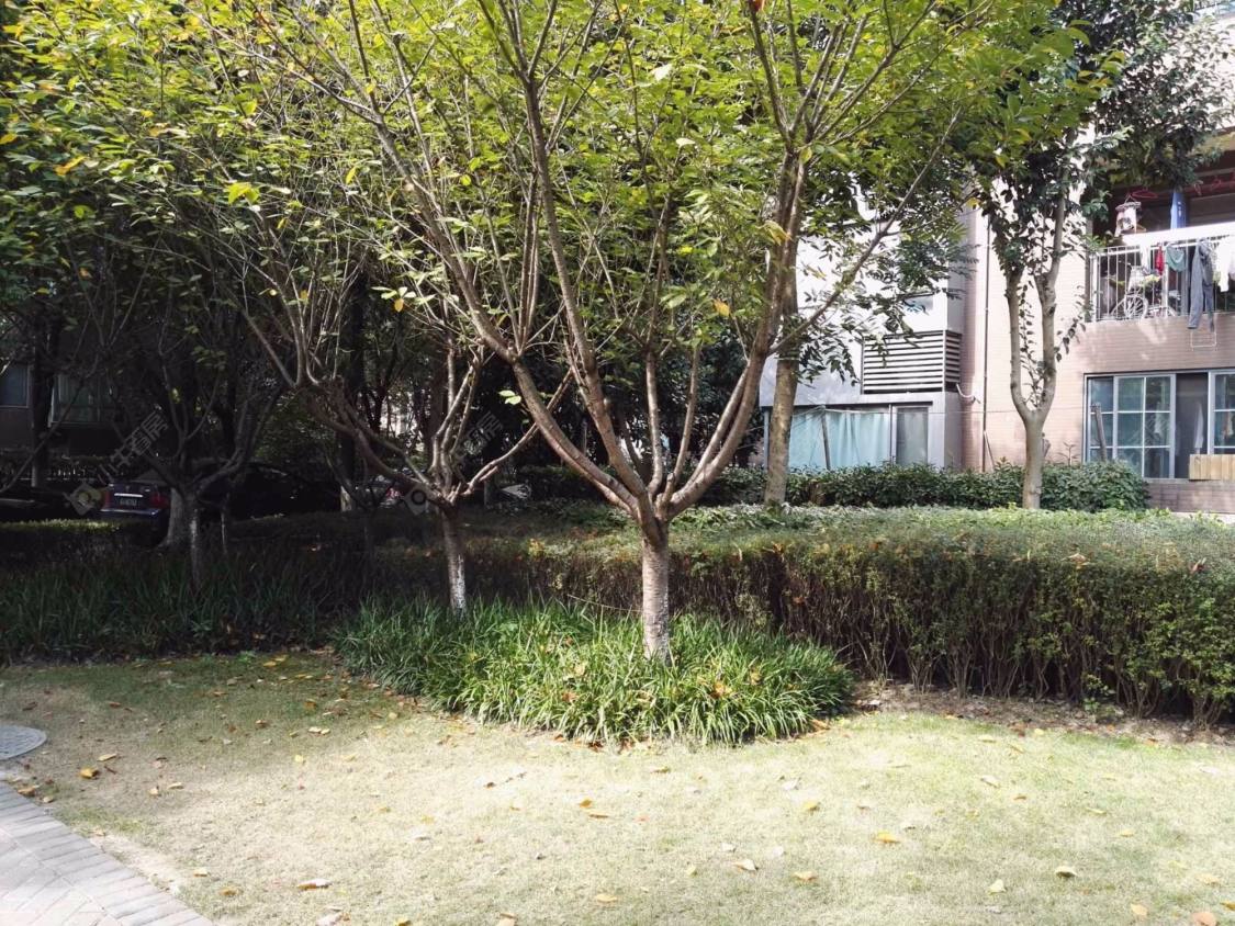 上海万科新里程小区_万科新里程小区null