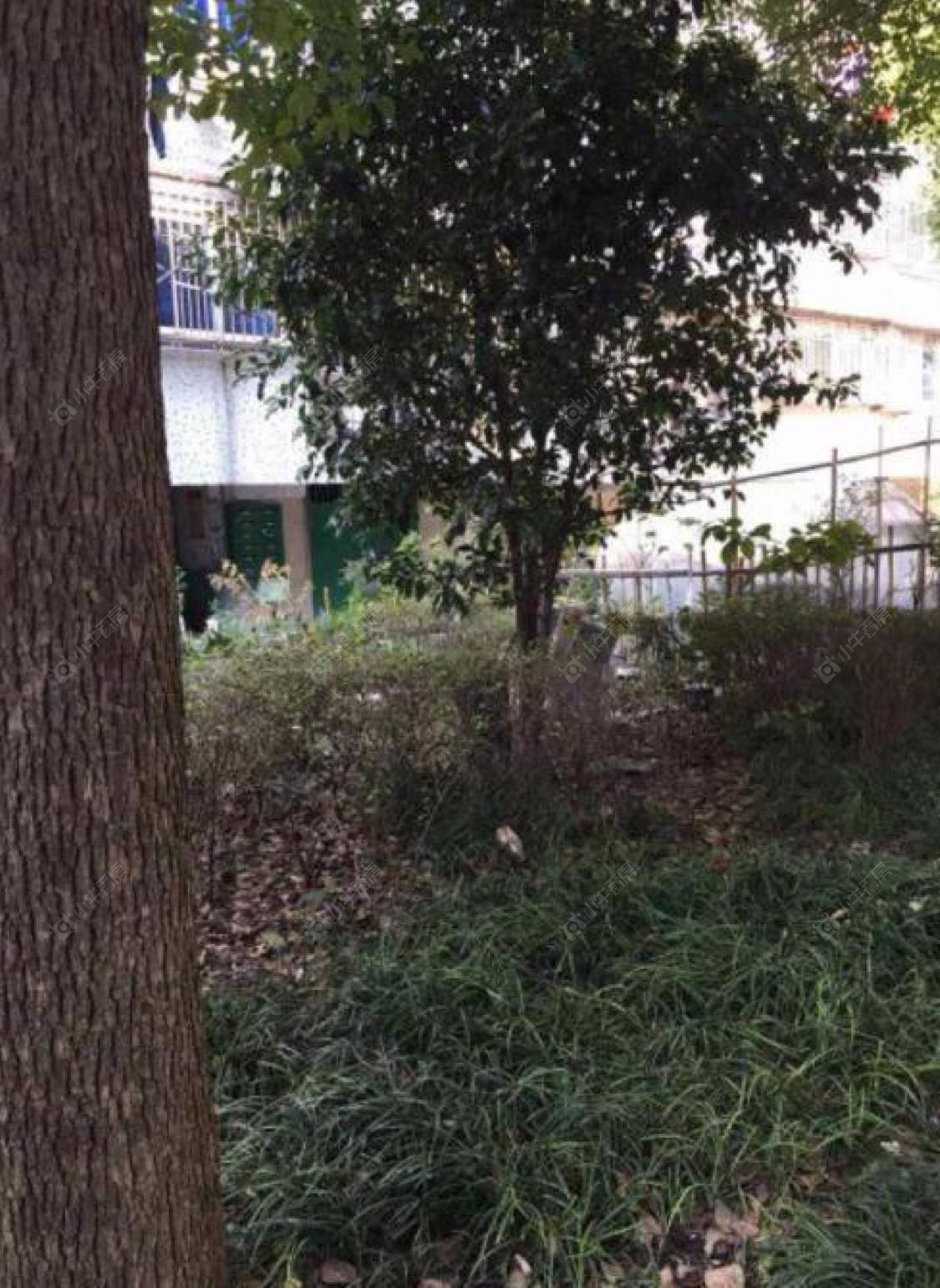 上海城南新村(嘉定)小区_城南新村(嘉定)小区null