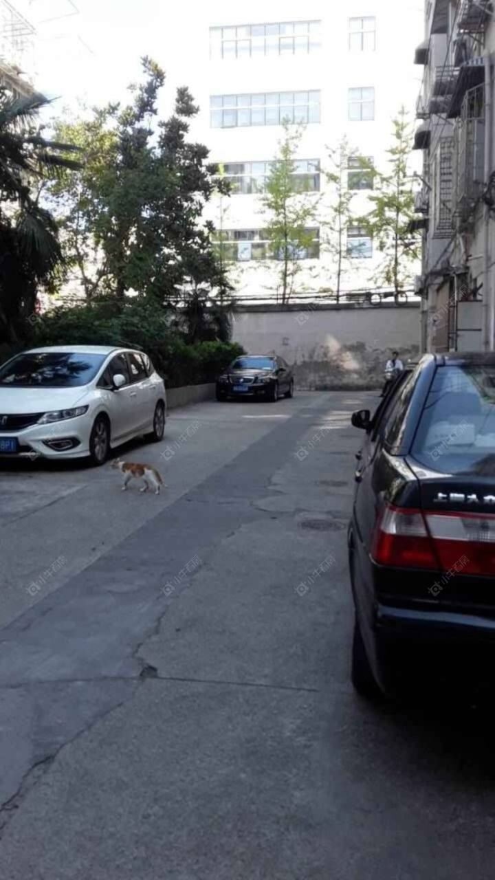 上海天山路1726弄小区_天山路1726弄小区null