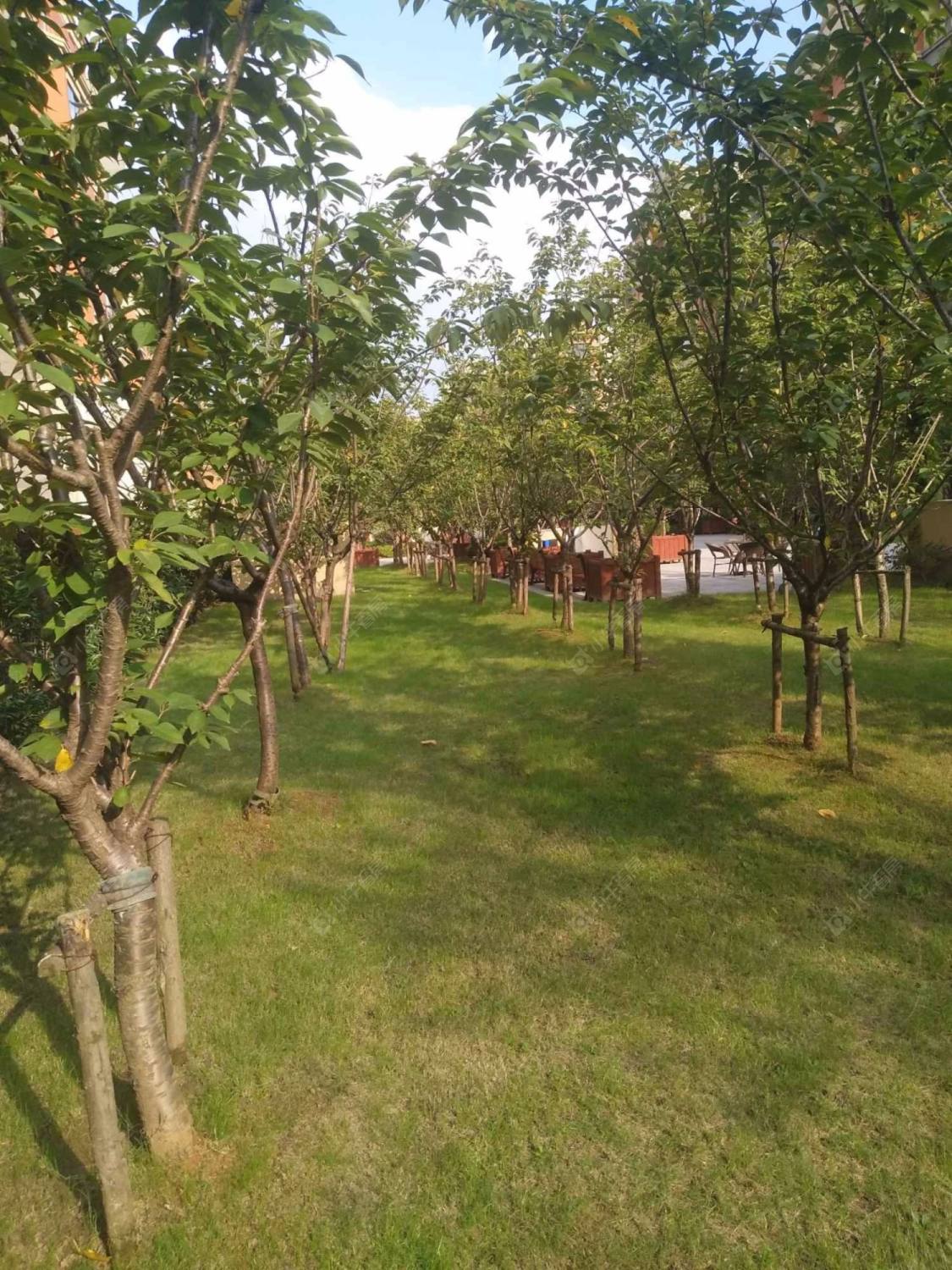 上海天地健康城小区_天地健康城小区null