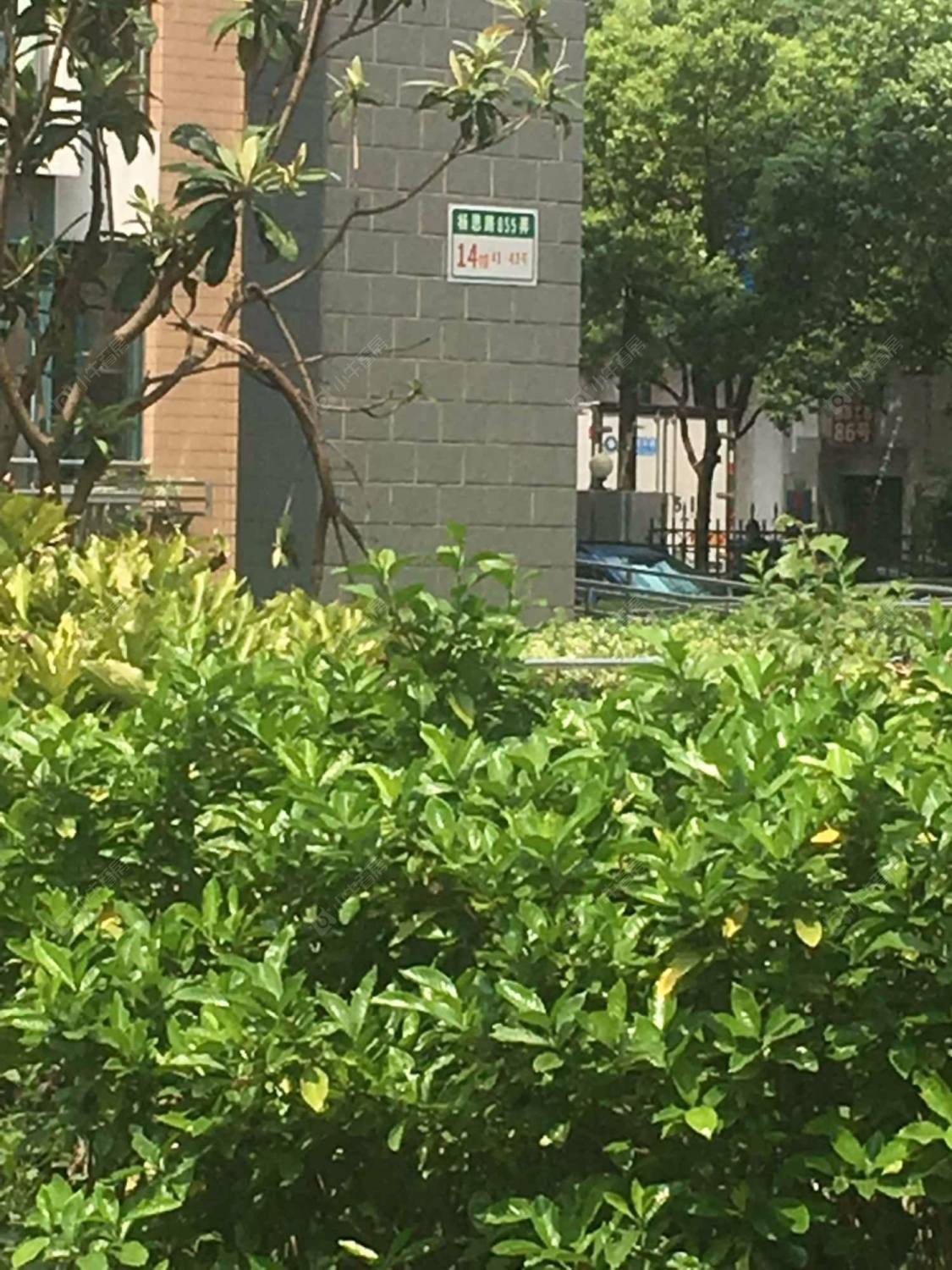 申江豪城封面图_小牛看房