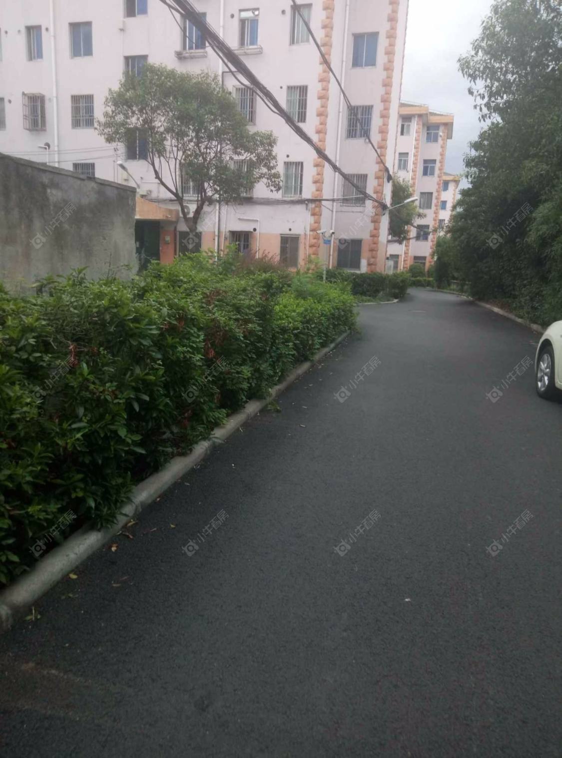 上海同乐西区小区_同乐西区小区null