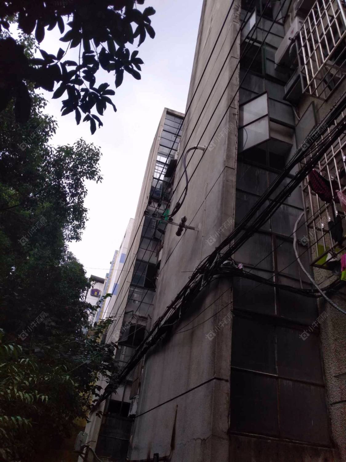 上海清真路小区_清真路小区null