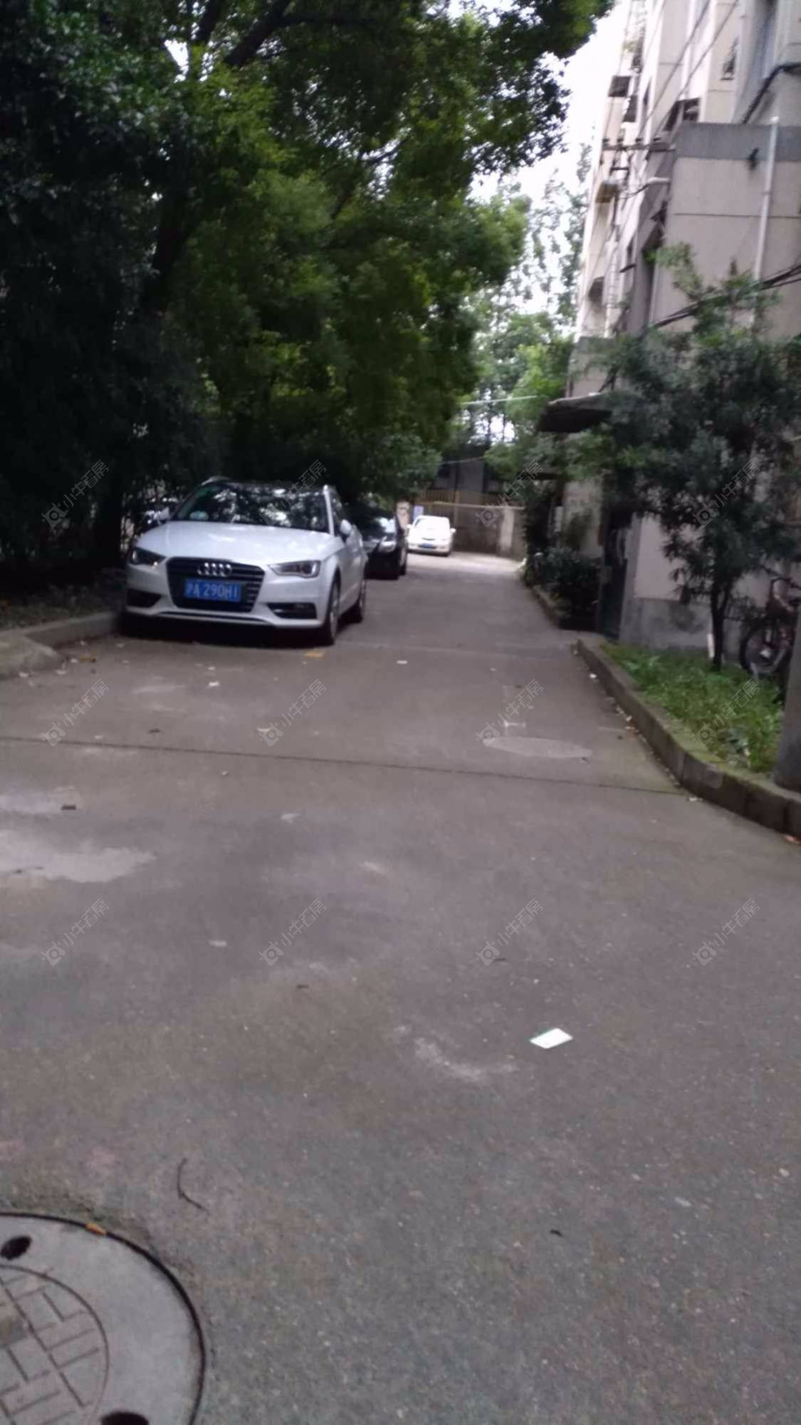 上海金泰小区小区_金泰小区小区null