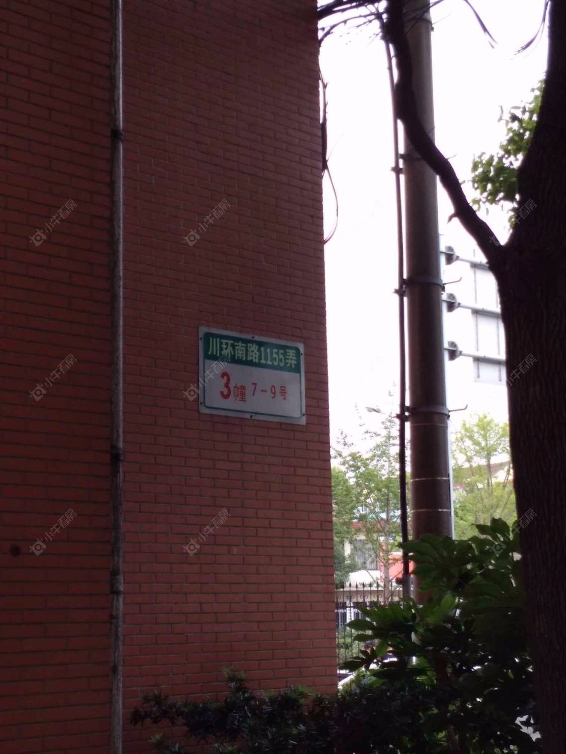 上海王桥苑小区_王桥苑小区null