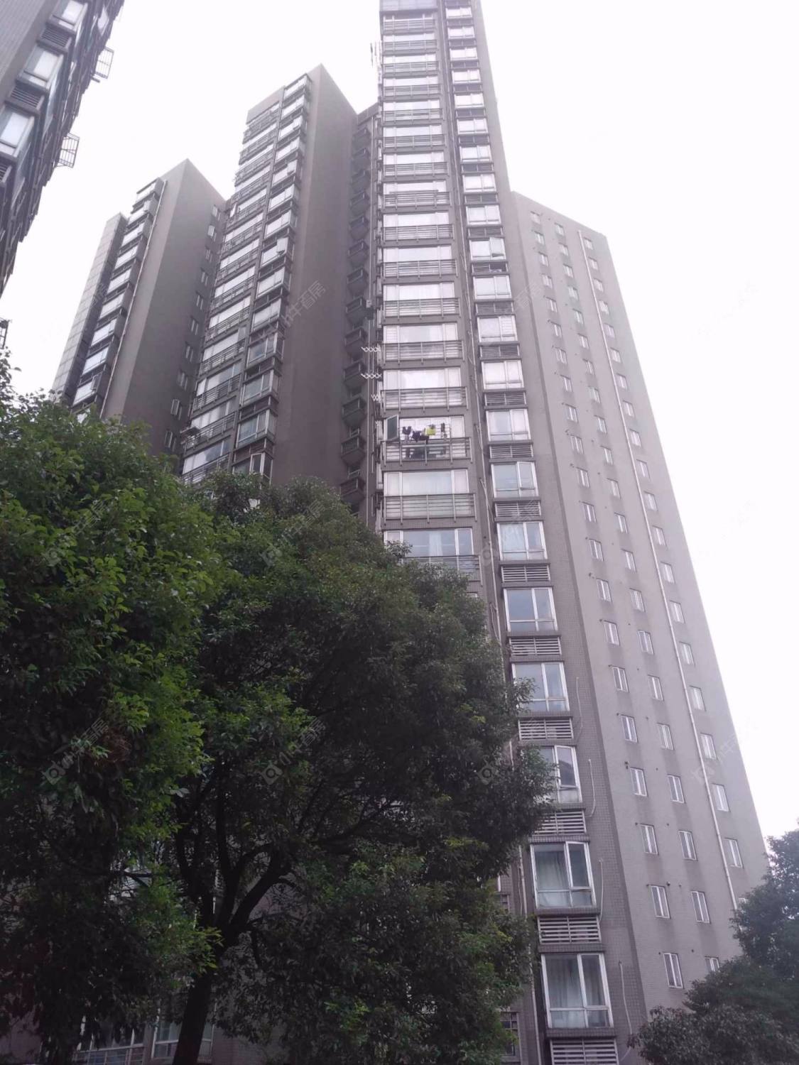 上海新湖云庭小区_新湖云庭小区null