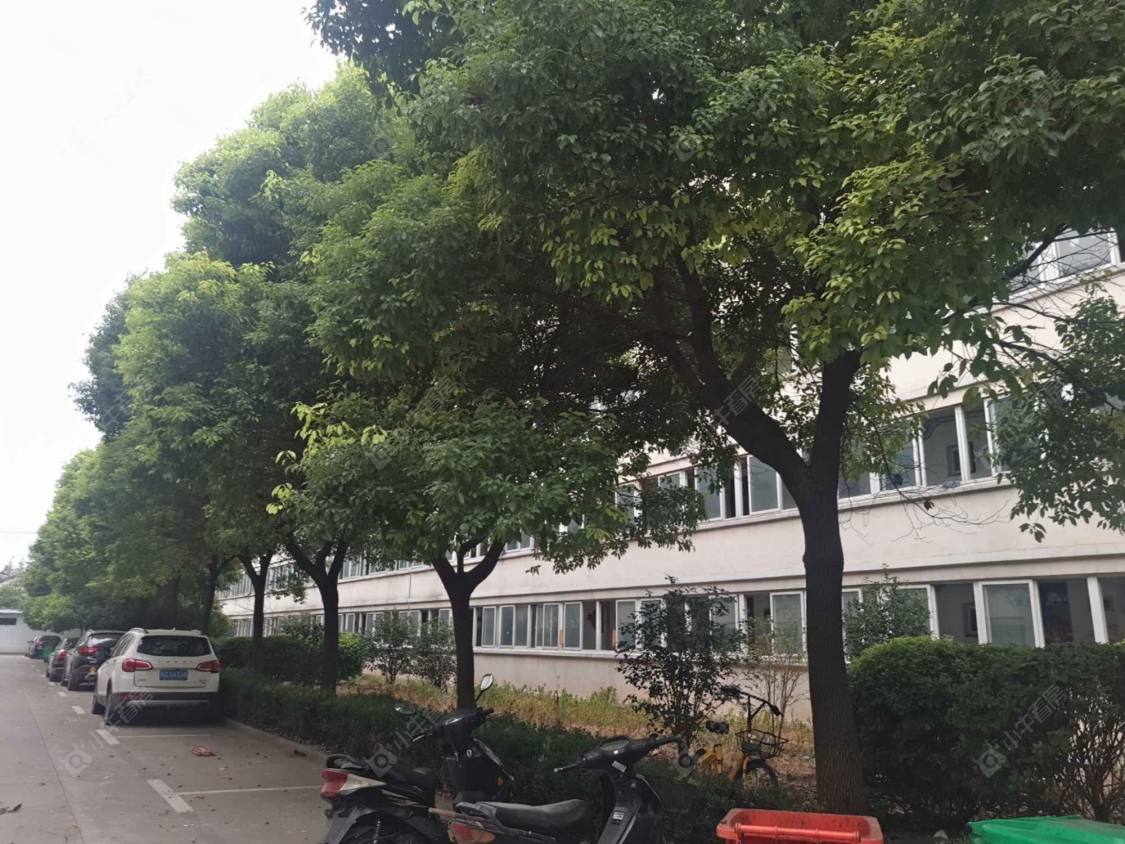 上海李家科盛公寓小区_李家科盛公寓小区实景图