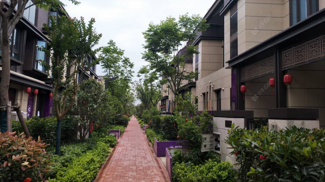 金地水悦堂封面图_小牛看房